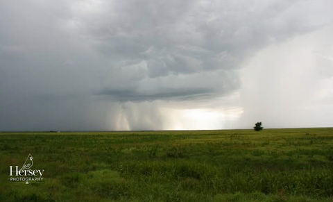 The Solitude of the Approaching Storm