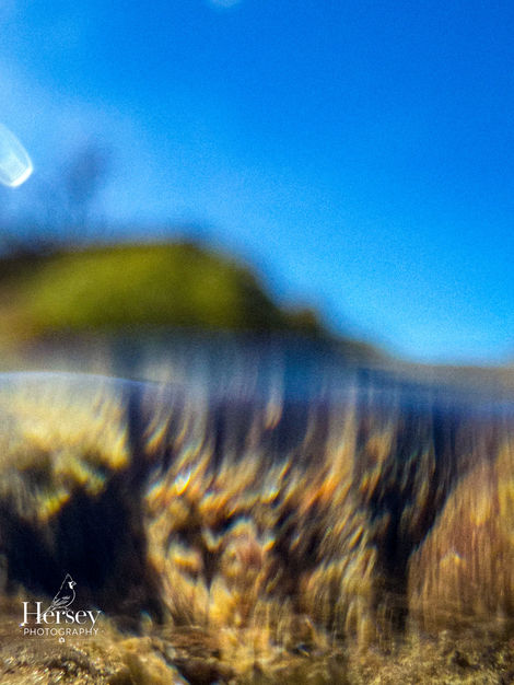 Beneath the Blur