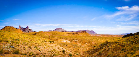 Golden Desert Vistas with Distant Peaks