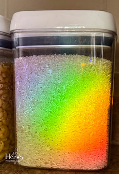 Suncatcher's Spectrum on Rice