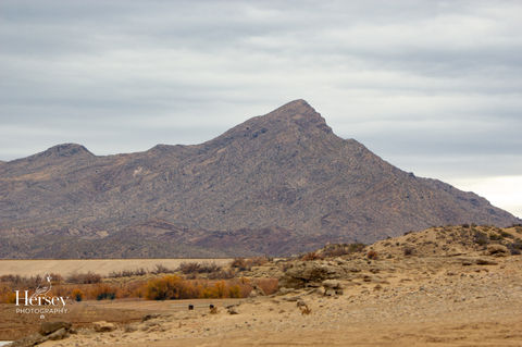 Summit of the Sunless Sky