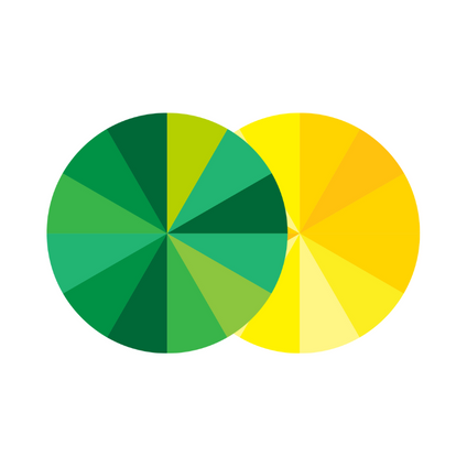 Colour Wheel for Jungle theme decor