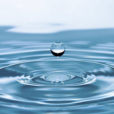 Water Quality Test (Bacteria)