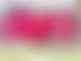 台中磐石預備隊 5-2 新北航源輔大