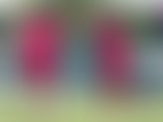 乙級聯賽:台中磐石預備隊 4-1 灣島