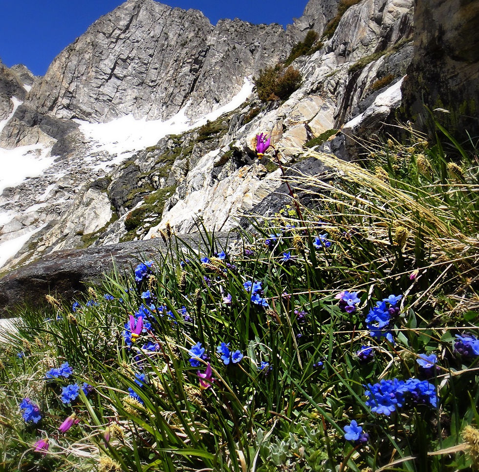 Beehive Basin May 2016