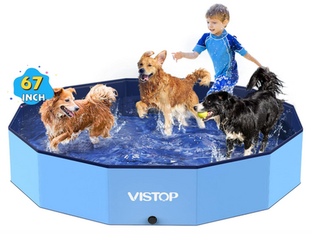 3 dogs splashing around in a dog pool