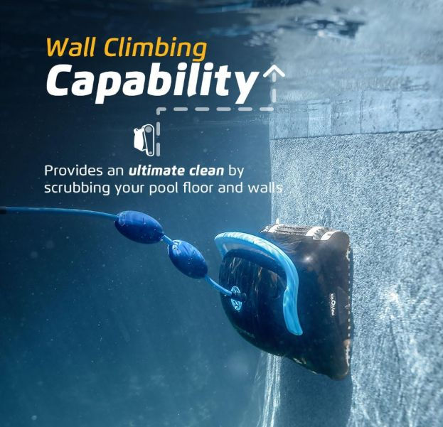 Dolphin Nautilus CC Plus climbing pool wall