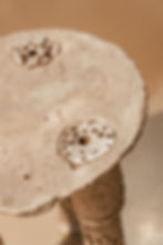 Pilar Shoots - ADW2026 HR-152.jpg