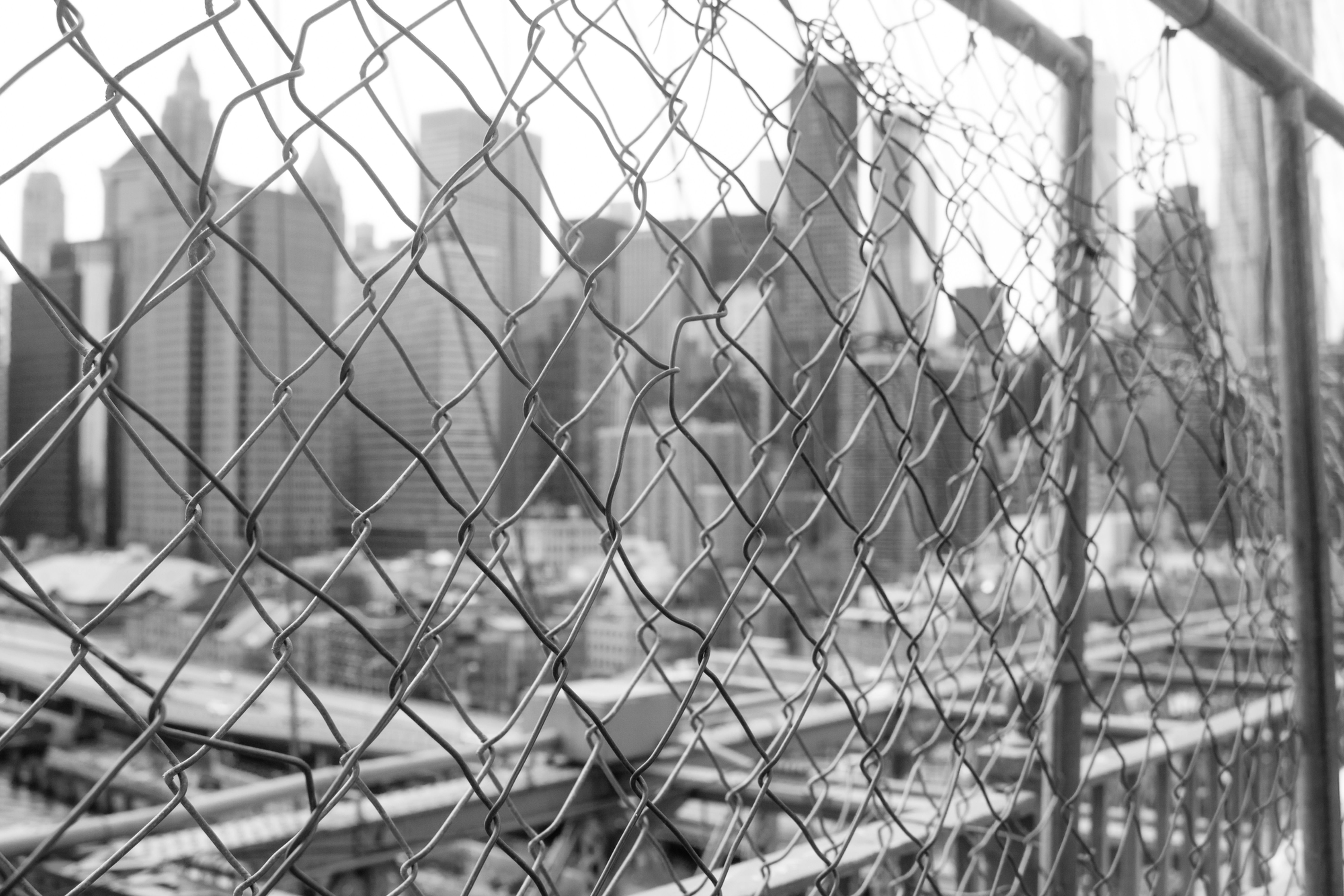 Framed matte paper poster