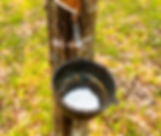 natural rubber