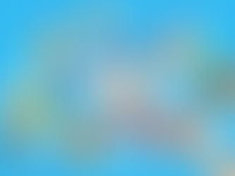 O e-commerce e a necessidade de uma gestão competente