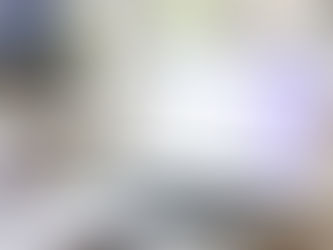 Software de Gestão: Por que toda empresa deve ter?