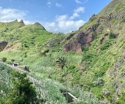 Coculi_Santo Antao.jpg