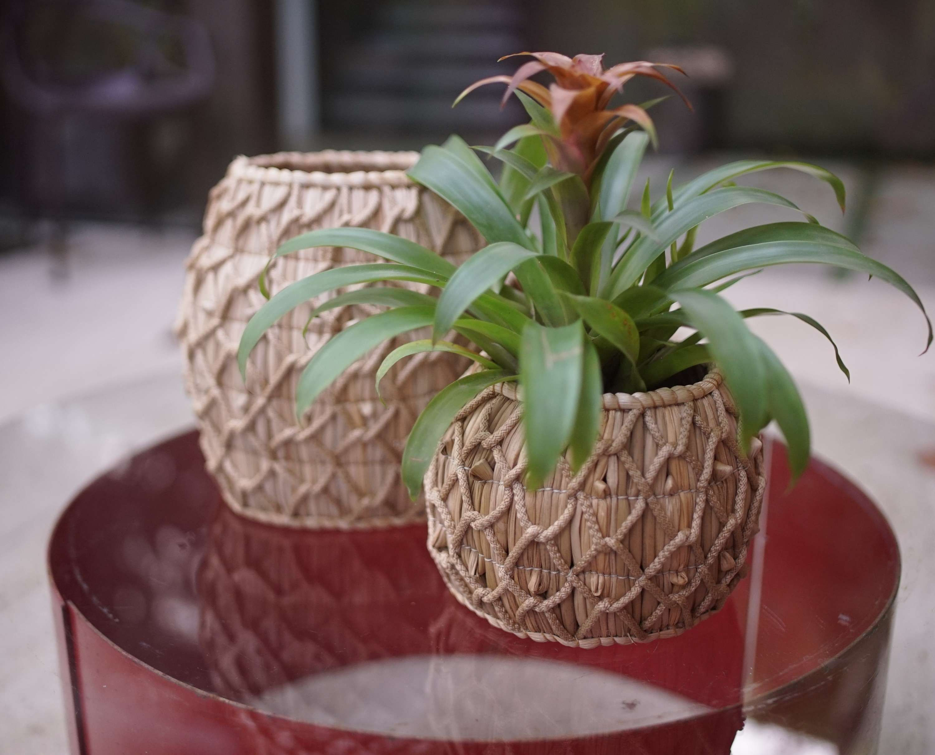 Gamela Taboa com Fio Náutico Areia Grande