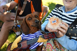 clam ukulele dog 2022.jpg