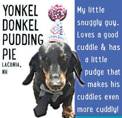 Yonkel smile ad 2025