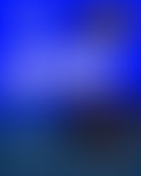 The Dream Season Rolls on as Brujos Win both Playoff Games to Take Home the SWRU Championship; Team Heads to Vegas in Two Weeks for Super Regionals; Brujos Set Up GoFundMe to Help with Travel Costs. 