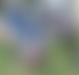 Brujos go undefeated on Rugby pitch at High Desert, but don't taste championship.