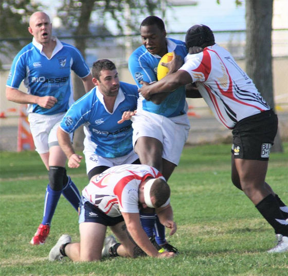 Brujos go undefeated on Rugby pitch at High Desert, but don't taste championship.