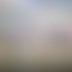 Brujos Roll Past Varks 63 to 7, Face El Paso Next; Tuesday and Thursday Practice Updates and More