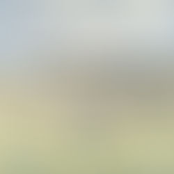 NM Brujos team up with Barbarians to take down Highlanders in Denver. Head to Ruggerfest in Aspen this Weekend. Brujos golf tournament and fundraiser is next week, registration and sponsorships.