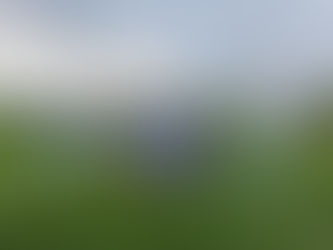 Brujos take second in Denver 7s, Fall practice begins, and August Brujos news.