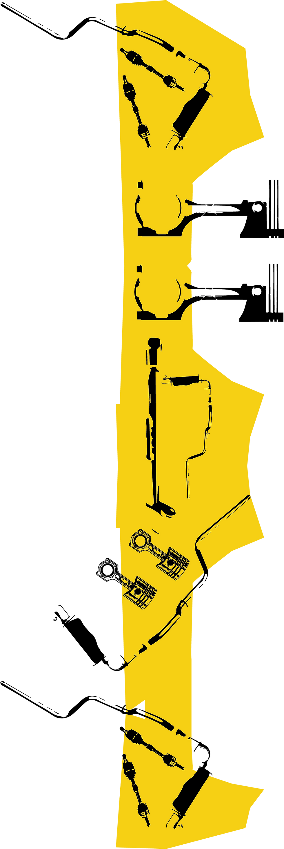 Asset 11.png