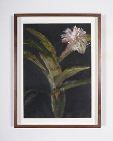 11244 - 1 copy.jpg