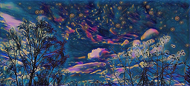 midnight in wonderland.jpg