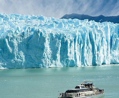 calafate.jpg