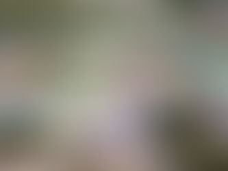 FOTO PANORÂMICA AÉREA DA FVC