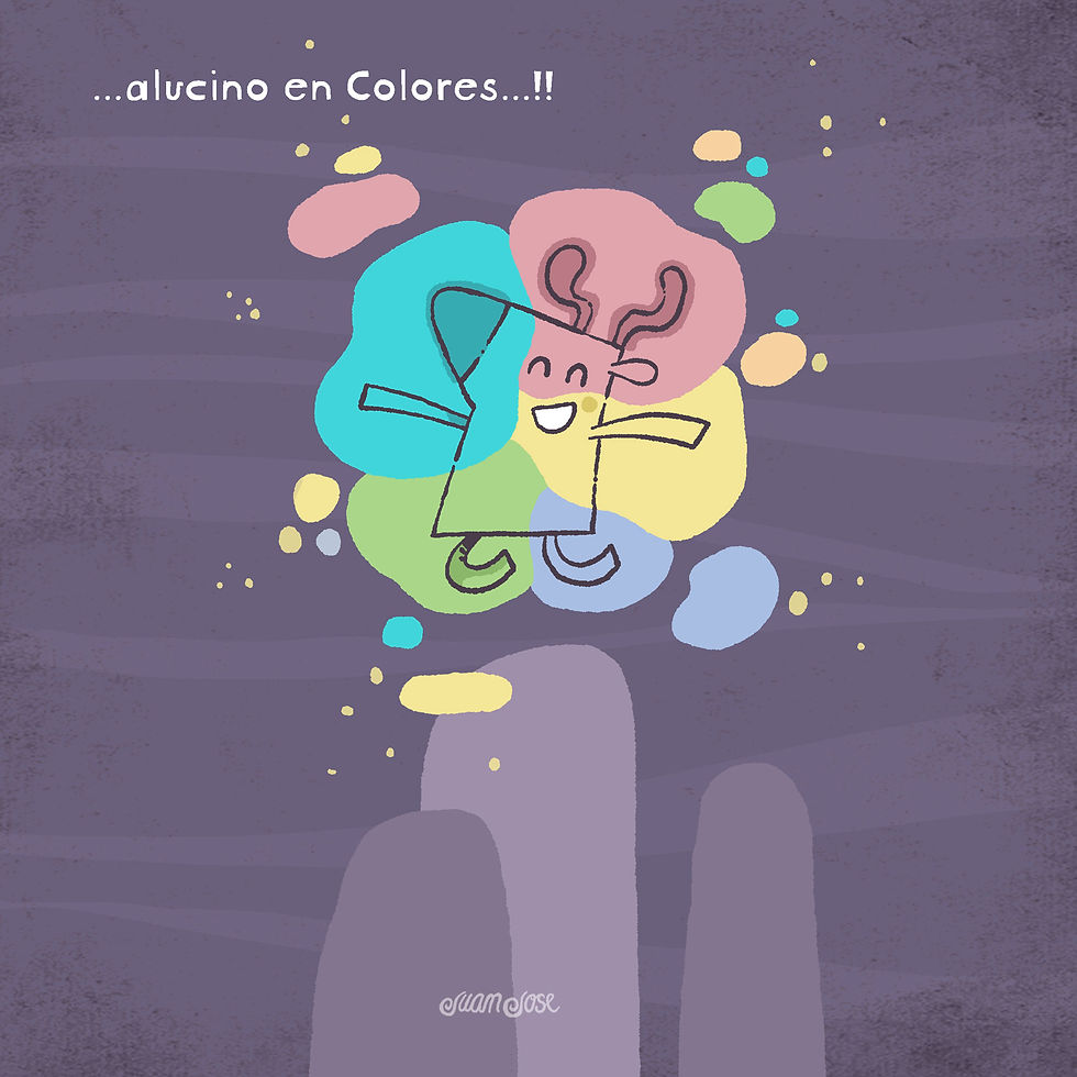 Alucino en Colores, juan jose ©