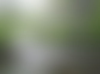 Boone, Carolina de Norte