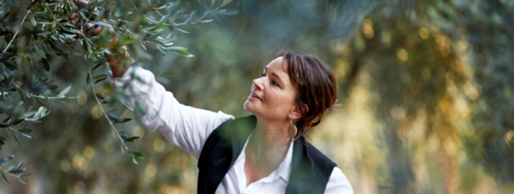 Ros Vodusek in the Rich Glen Olive Estate