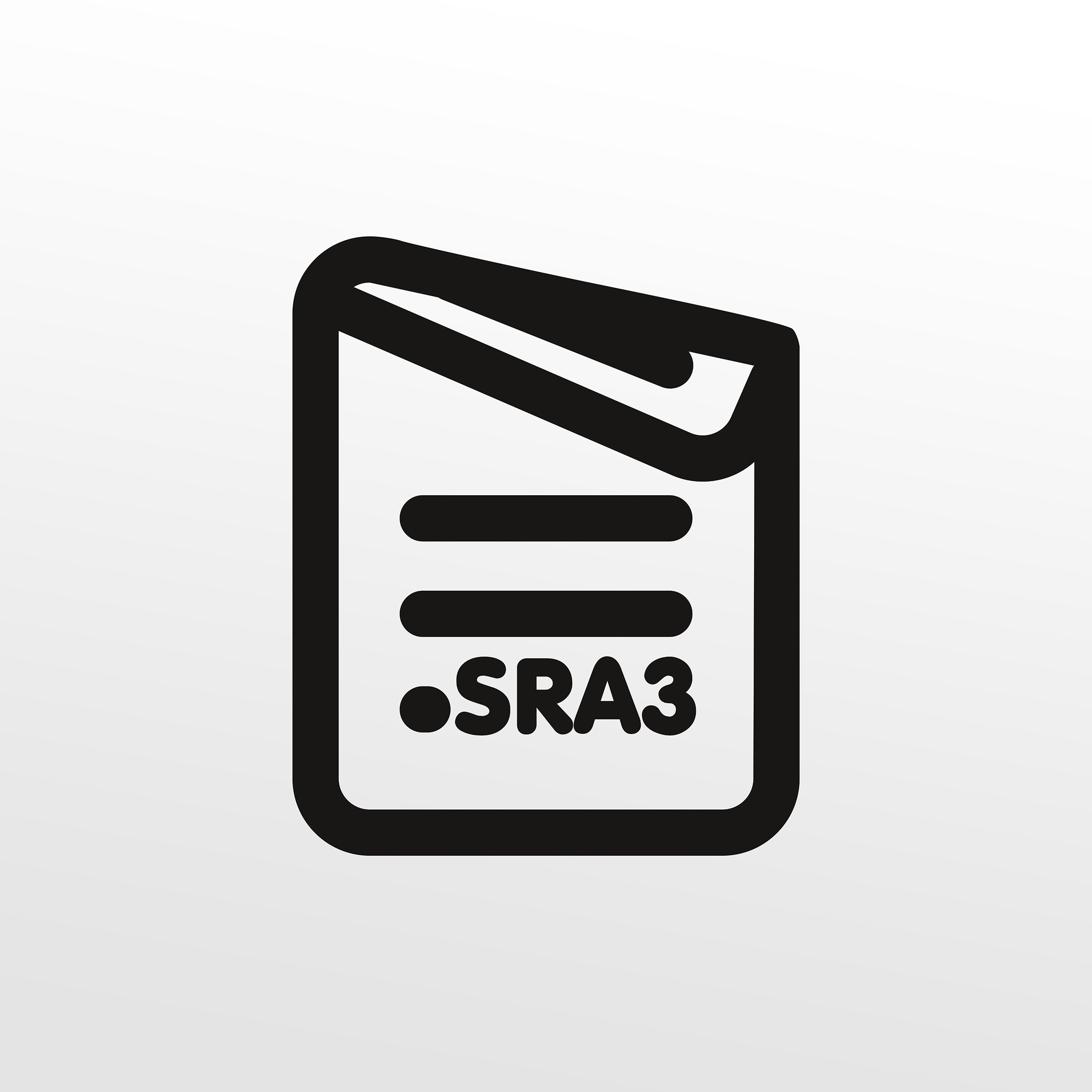 DIN SRA3 100 g/m2, sw, 2-seitig