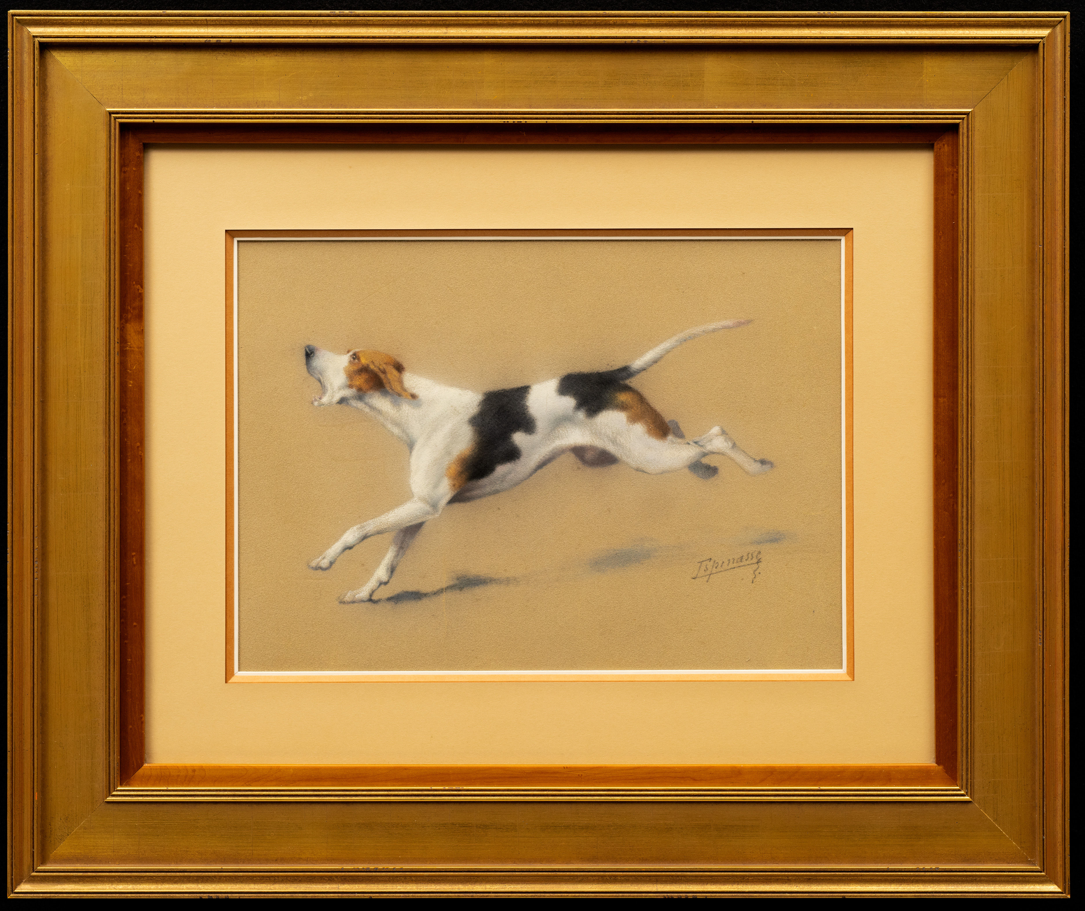 Study of a Pointer Running by Léon Espinasse (French 19th/20th)