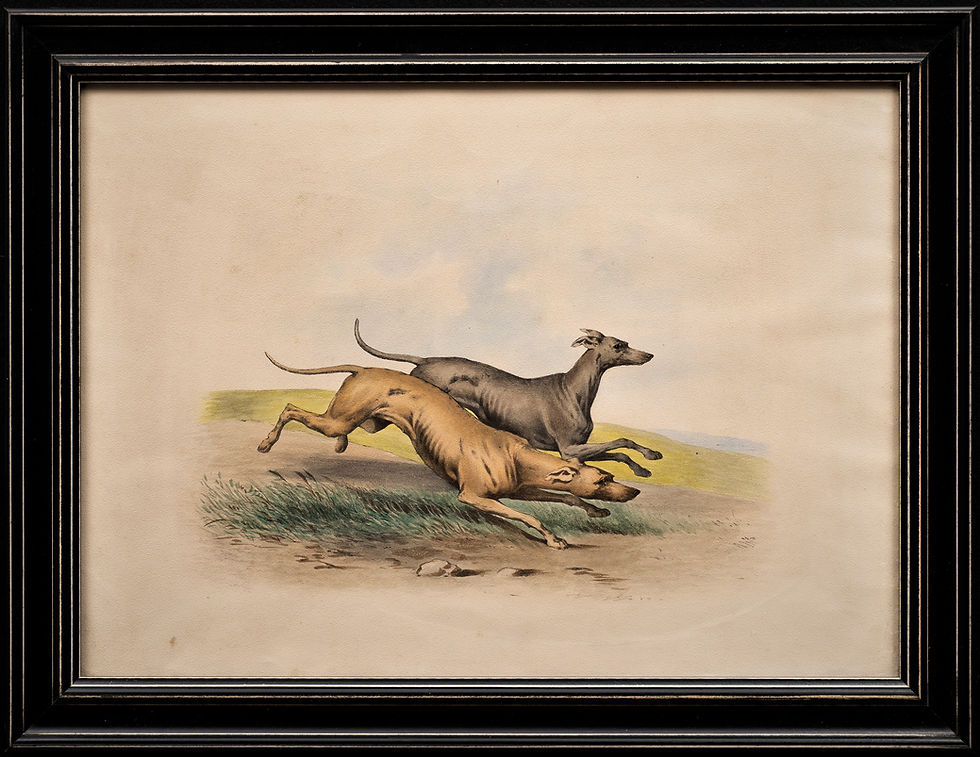 Thumbnail: Dog Portrait Lithograph in the Taste of Alfred De Dreux, France circa 1870