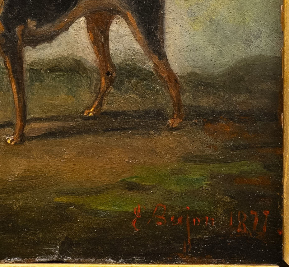 Miniaturbild: Dog Portrait of a Beauceron "Bas Rouge, 1877"; French Wild-Boar Hunting Dog