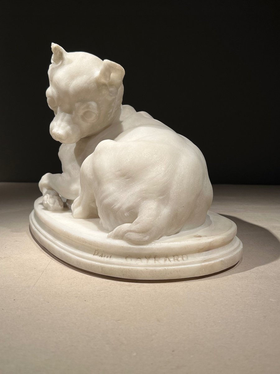 Thumbnail: Carrara Marble Sculpture of a Dog "Chihuahua" signed Paul Gayrard ca. 1835