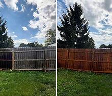 Fence CLean.jpeg