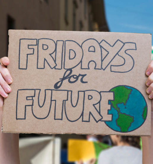 fridays for future.jpg