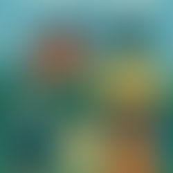 2025: The Year Climate Hope Grew Legs, Danced and Occasionally Barked