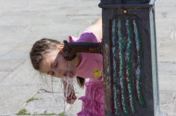 Sip