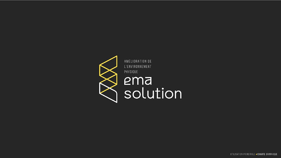 CHARTE GRAPHIQUE EMA SOLUTION_page-0005.jpg