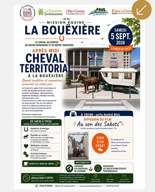 affiche.jpg