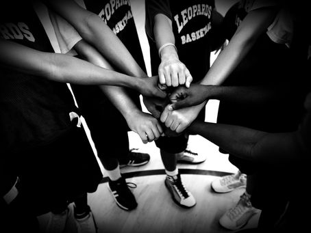Interdisciplinary teams in sport coaching