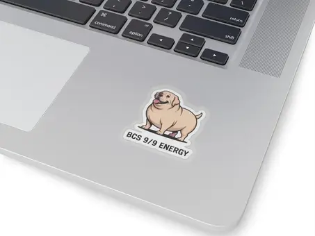 BCS 9/9 Energy Sticker