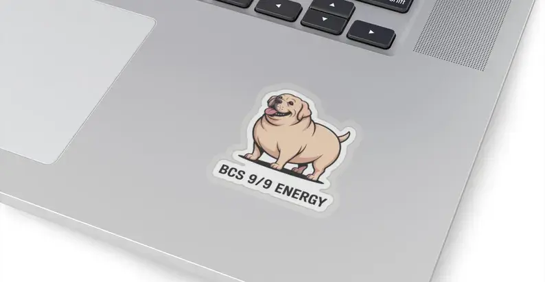 BCS 9/9 Energy Sticker