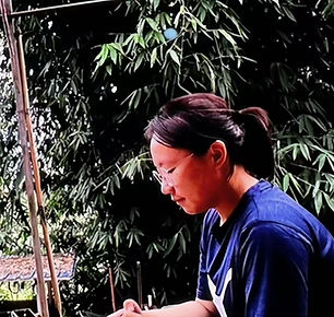 Boge Xiao writing field notes in a bamboo grove